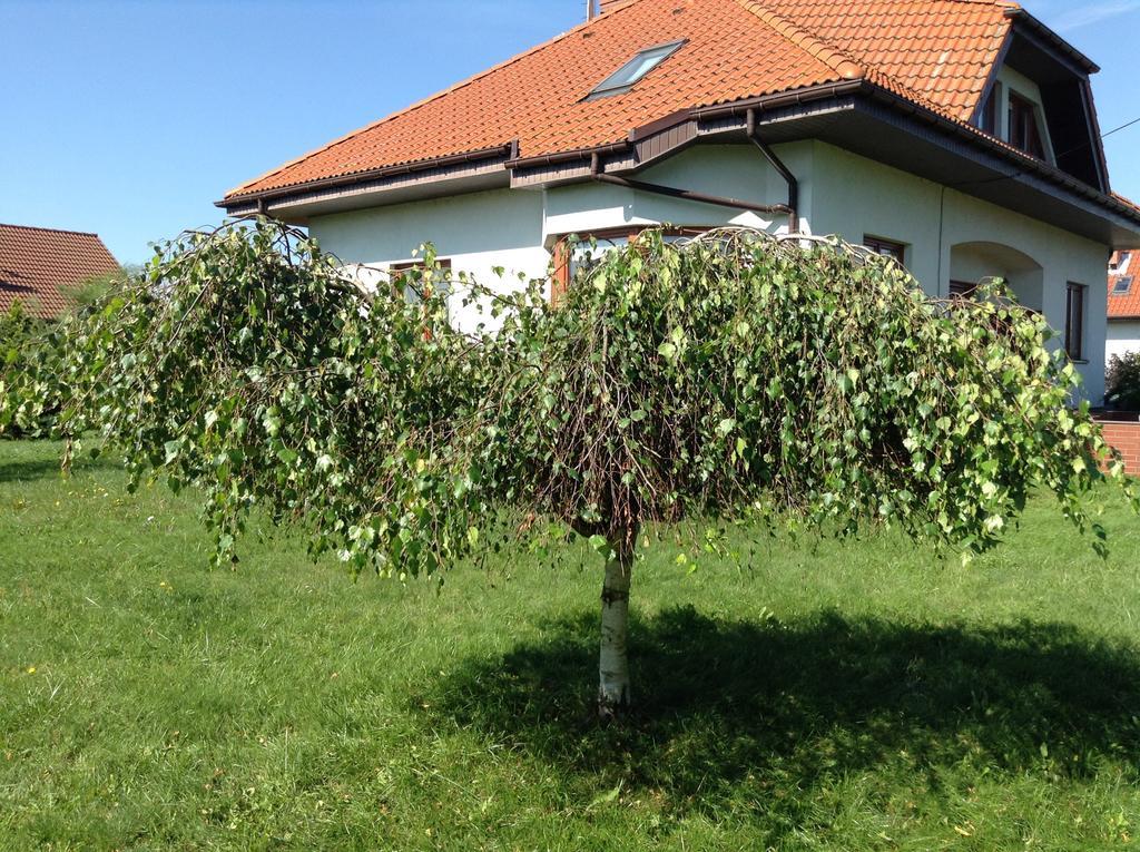 Landhaus Mit Garten シュチェチン エクステリア 写真